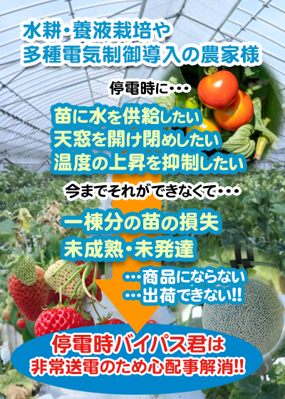 水耕・養液栽培や多種電気制御導入の農家様 停電時に・・・。 停電時バイパス君は非常送電のための心配事解消！！